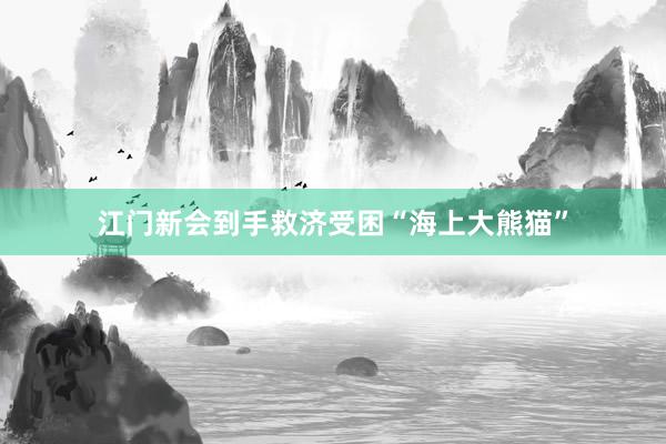 江门新会到手救济受困“海上大熊猫”