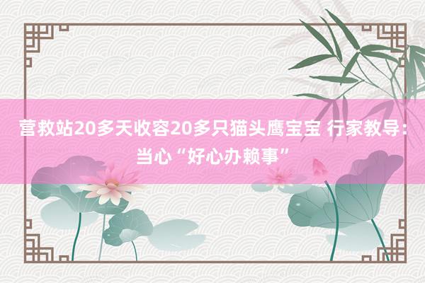 营救站20多天收容20多只猫头鹰宝宝 行家教导：当心“好心办赖事”