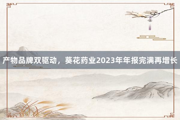 产物品牌双驱动，葵花药业2023年年报完满再增长