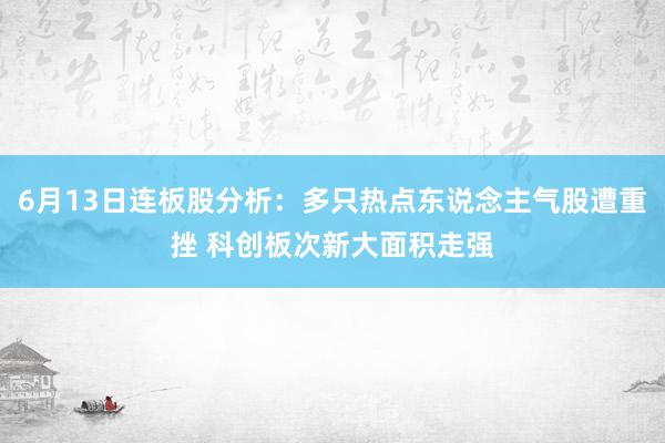 6月13日连板股分析：多只热点东说念主气股遭重挫 科创板次新大面积走强