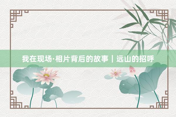 我在现场·相片背后的故事｜远山的招呼