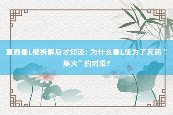 直到秦L被拆解后才知谈: 为什么秦L成为了友商“集火”的对象?