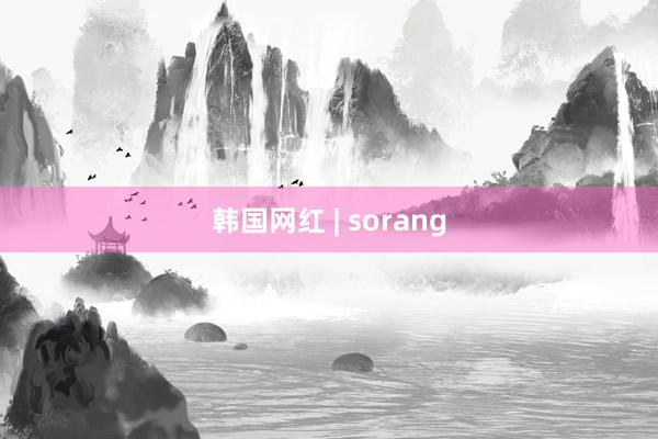 韩国网红 | sorang