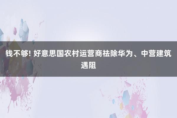 钱不够! 好意思国农村运营商祛除华为、中营建筑遇阻