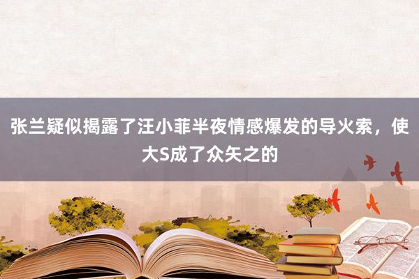 张兰疑似揭露了汪小菲半夜情感爆发的导火索，使大S成了众矢之的