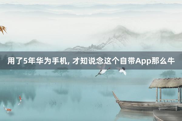 用了5年华为手机, 才知说念这个自带App那么牛