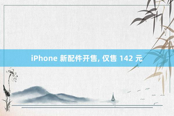 iPhone 新配件开售, 仅售 142 元