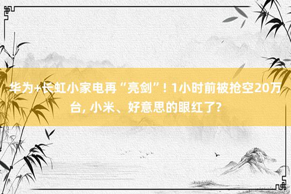 华为+长虹小家电再“亮剑”! 1小时前被抢空20万台, 小米、好意思的眼红了?