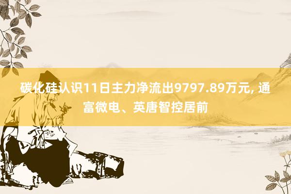 碳化硅认识11日主力净流出9797.89万元, 通富微电、英唐智控居前