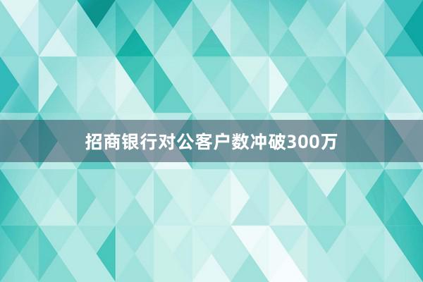 招商银行对公客户数冲破300万