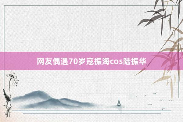 网友偶遇70岁寇振海cos陆振华